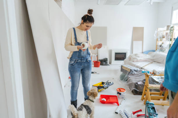 Best Ceiling Drywall Installation  in Newton, IA